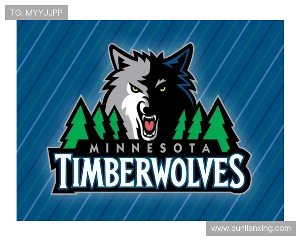 NBA森林狼队崛起之路新赛季阵容与未来竞争力解析全面深度观察